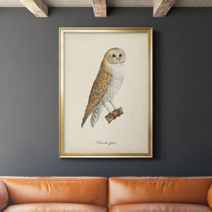 French Owls VI Premium Framed Print - Ready to Hang