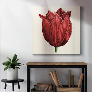 Tulip Garden II-Premium Gallery Wrapped Canvas - Ready to Hang