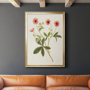 Flowers of the Seasons VIII Premium Framed Print - Ready to Hang