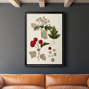 Leaves & Berries III Premium Framed Print - Ready to Hang