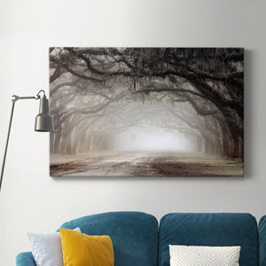 Timeless Plantation Drive Premium Gallery Wrapped Canvas - Ready to Hang