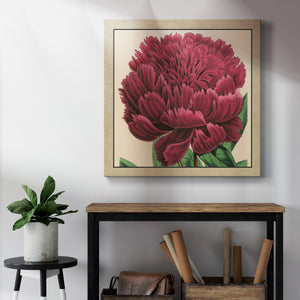 Peony Collection V-Premium Gallery Wrapped Canvas - Ready to Hang