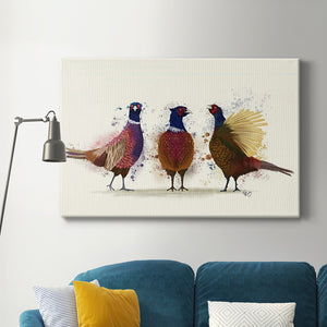 Pheasant Trio Premium Gallery Wrapped Canvas - Ready to Hang