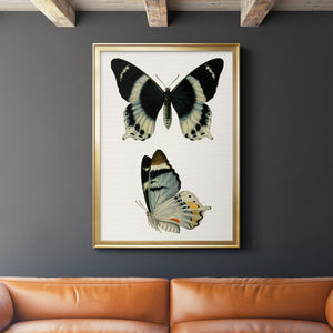 Antique Blue Butterflies I Premium Framed Print - Ready to Hang