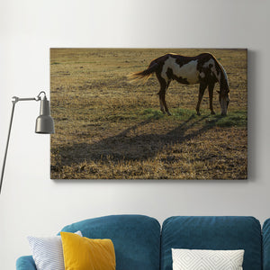 Long Shadow Premium Gallery Wrapped Canvas - Ready to Hang