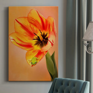 Hanging On VI Premium Gallery Wrapped Canvas - Ready to Hang