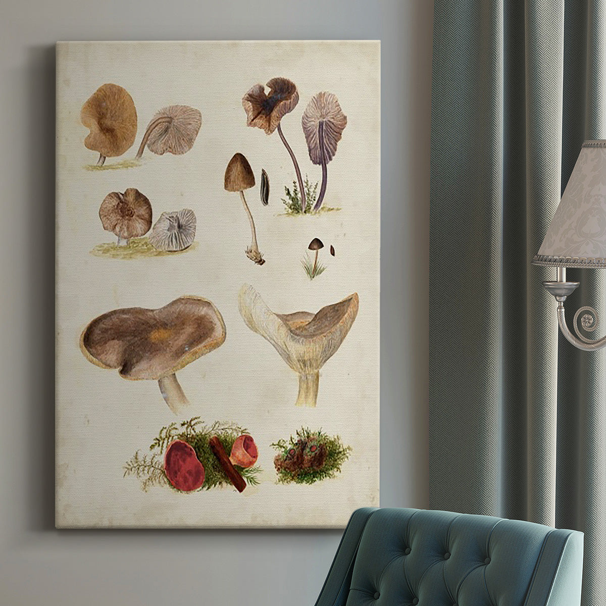 Mushroom Species III Premium Gallery Wrapped Canvas - Ready to Hang
