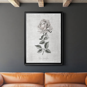 Vintage Botanical II Premium Framed Print - Ready to Hang