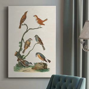 Antique Birds in Nature IV Premium Gallery Wrapped Canvas - Ready to Hang