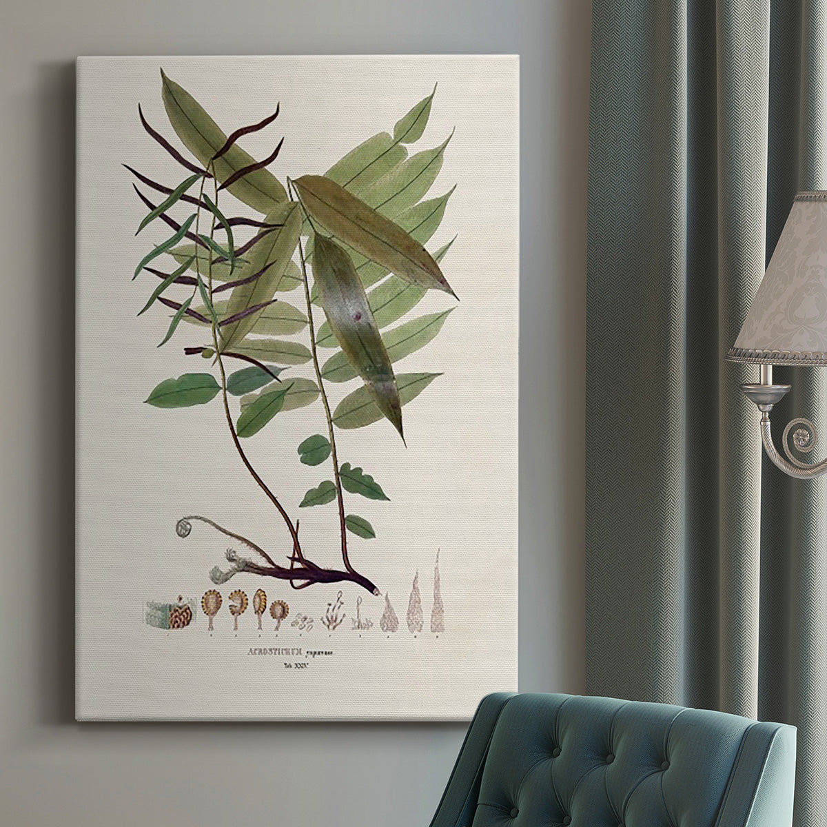 Botanical Society Ferns VI Premium Gallery Wrapped Canvas - Ready to Hang