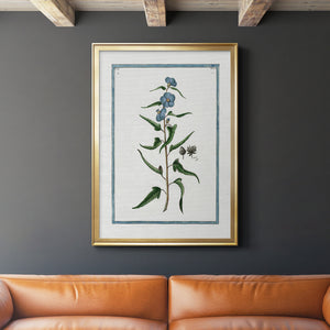 Shabby Chic Botanical I Premium Framed Print - Ready to Hang