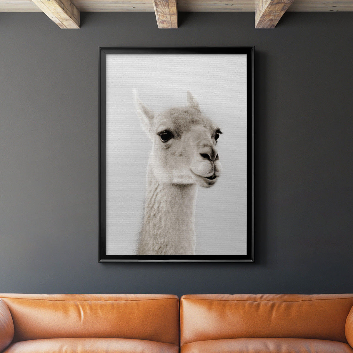 Soft Llama Premium Framed Print - Ready to Hang