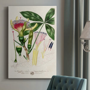Imperial Tropical Botanical II Premium Gallery Wrapped Canvas - Ready to Hang