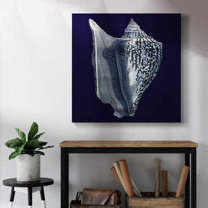 Indigo Shells I-Premium Gallery Wrapped Canvas - Ready to Hang