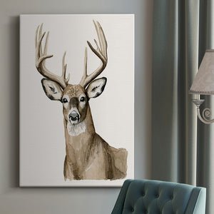 Handsome Whitetail I Premium Gallery Wrapped Canvas - Ready to Hang
