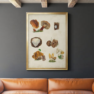Mushroom Species I Premium Framed Print - Ready to Hang