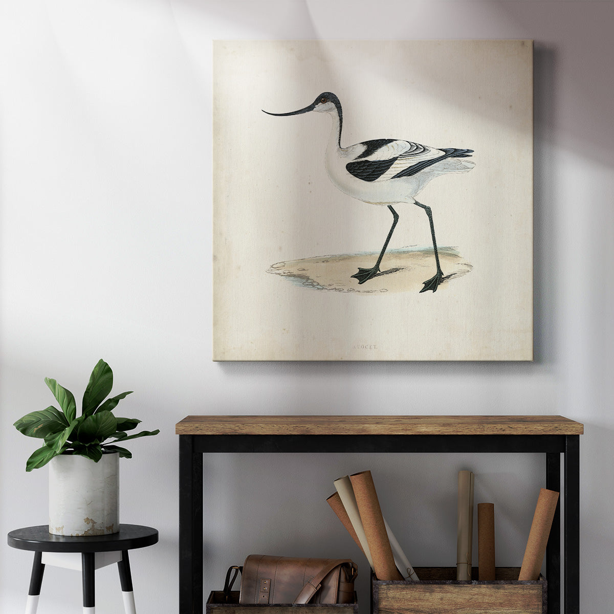 Morris Sandpipers IV-Premium Gallery Wrapped Canvas - Ready to Hang