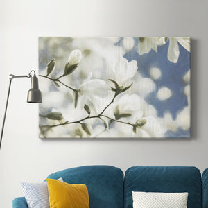 Unfolding Beauty Premium Gallery Wrapped Canvas - Ready to Hang