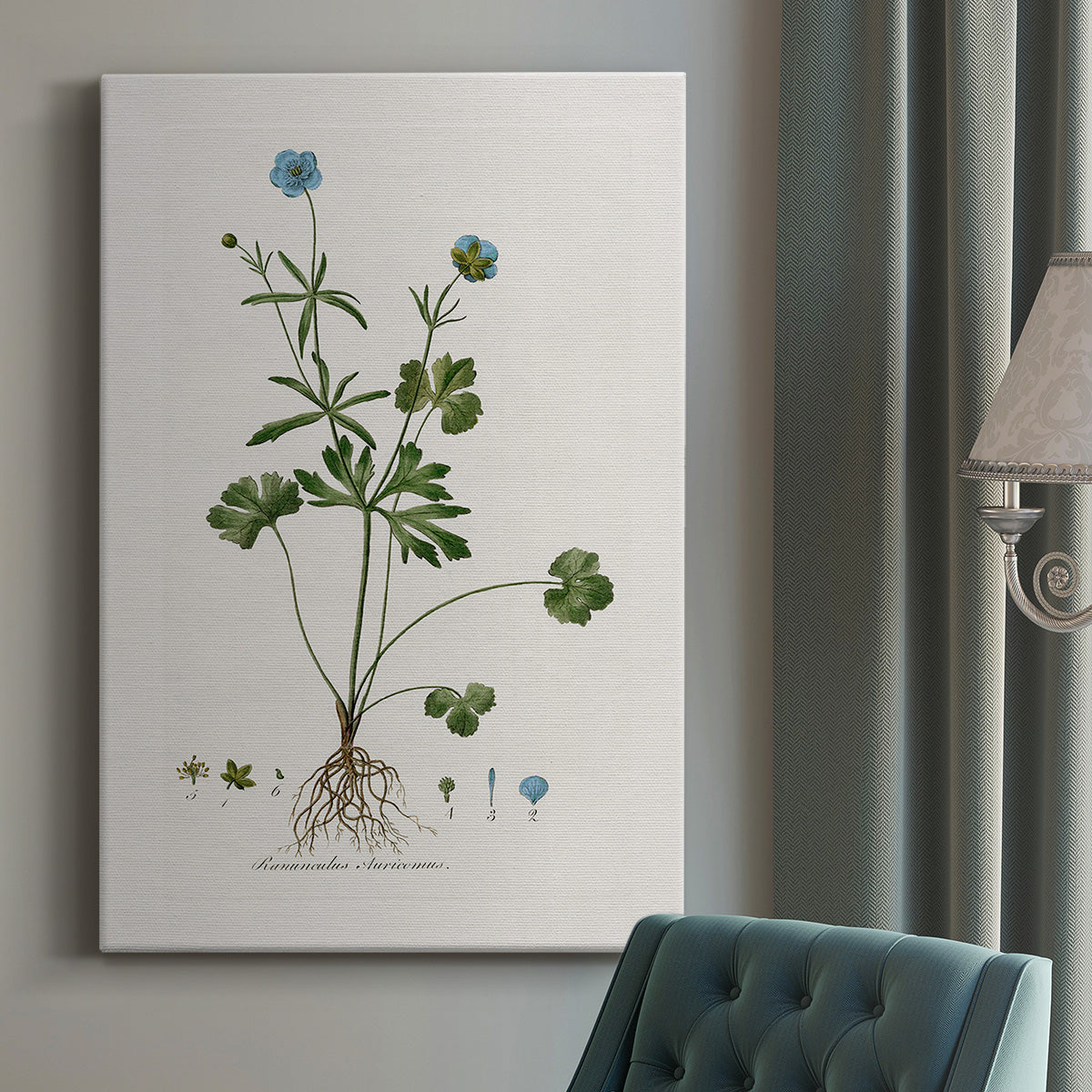 Buttercup Study Premium Gallery Wrapped Canvas - Ready to Hang
