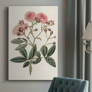 Pink Floral Mix V Premium Gallery Wrapped Canvas - Ready to Hang