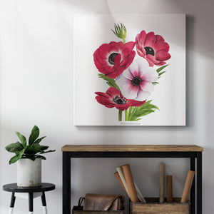 Anemone Blooms II-Premium Gallery Wrapped Canvas - Ready to Hang