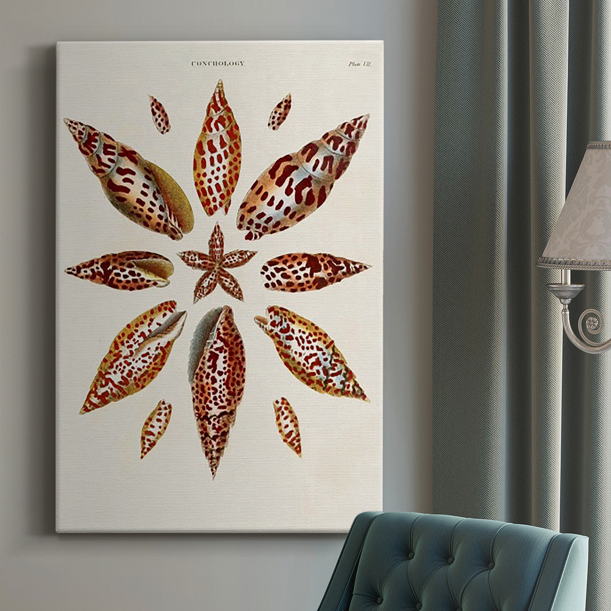 Spiral Shell Formation I Premium Gallery Wrapped Canvas - Ready to Hang