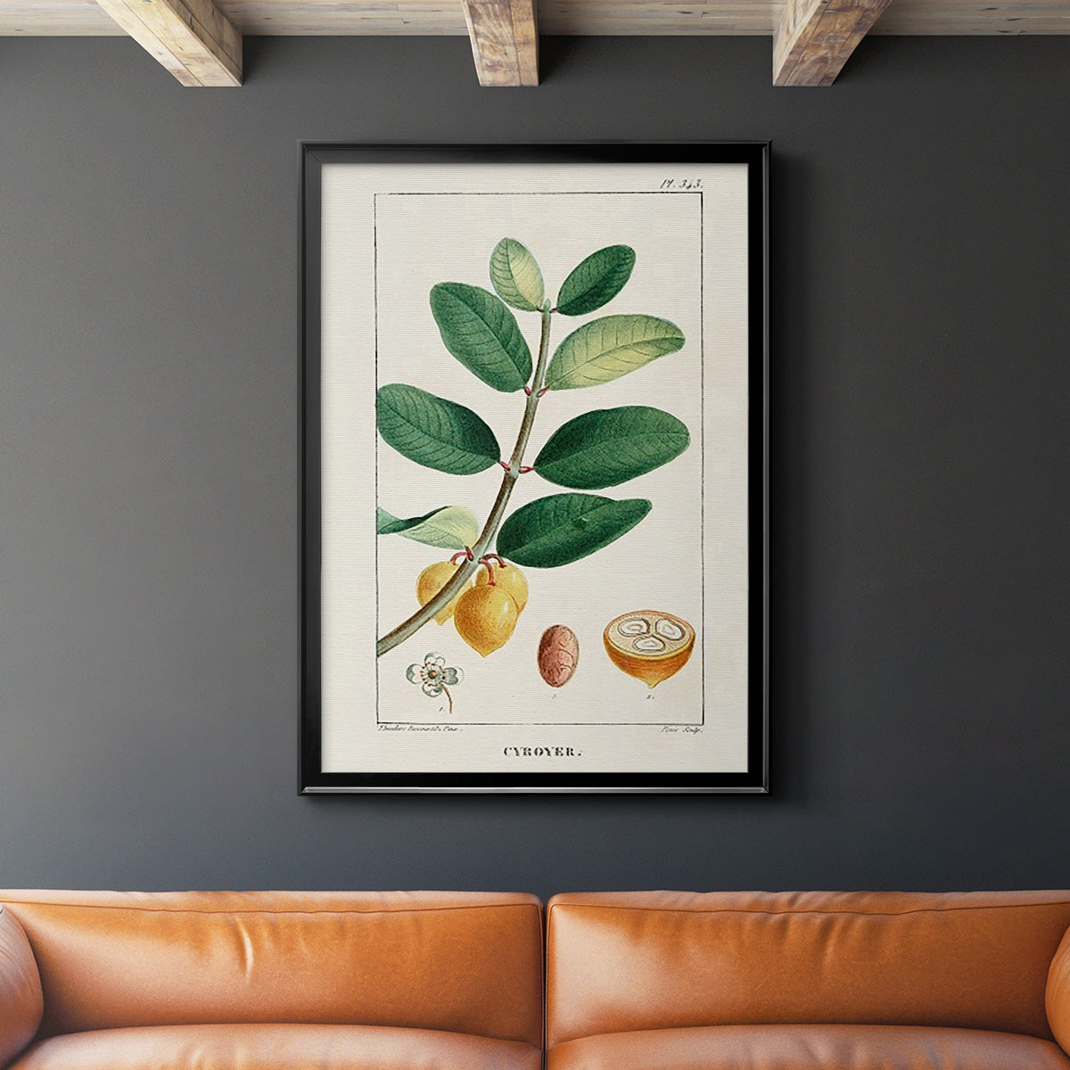 Turpin Tropical Botanicals V Premium Framed Print - Ready to Hang