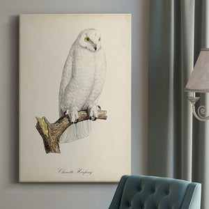 French Owls IV Premium Gallery Wrapped Canvas - Ready to Hang