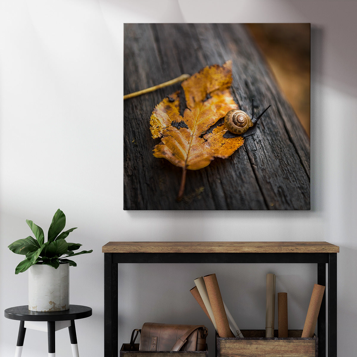 Snail's Pace-Premium Gallery Wrapped Canvas - Ready to Hang