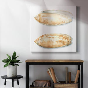 Watercolor Shells V-Premium Gallery Wrapped Canvas - Ready to Hang