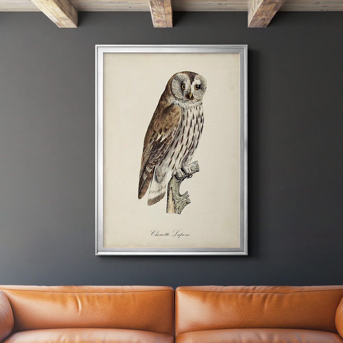 French Owls III Premium Framed Print - Ready to Hang