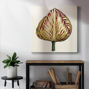 Tulip Garden IX-Premium Gallery Wrapped Canvas - Ready to Hang