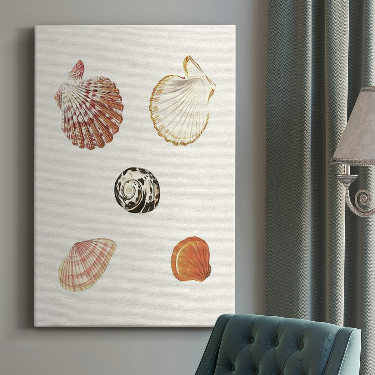 Pastel Knorr Shells VIII Premium Gallery Wrapped Canvas - Ready to Hang