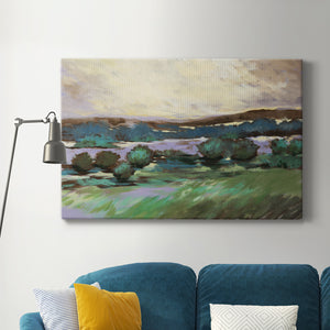 Sunny Desert Floor Premium Gallery Wrapped Canvas - Ready to Hang