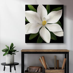 Midnight Magnolia I-Premium Gallery Wrapped Canvas - Ready to Hang