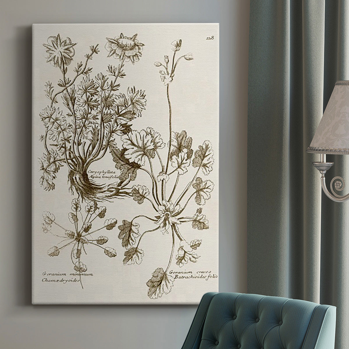 Sepia Botanical Journal IX Premium Gallery Wrapped Canvas - Ready to Hang