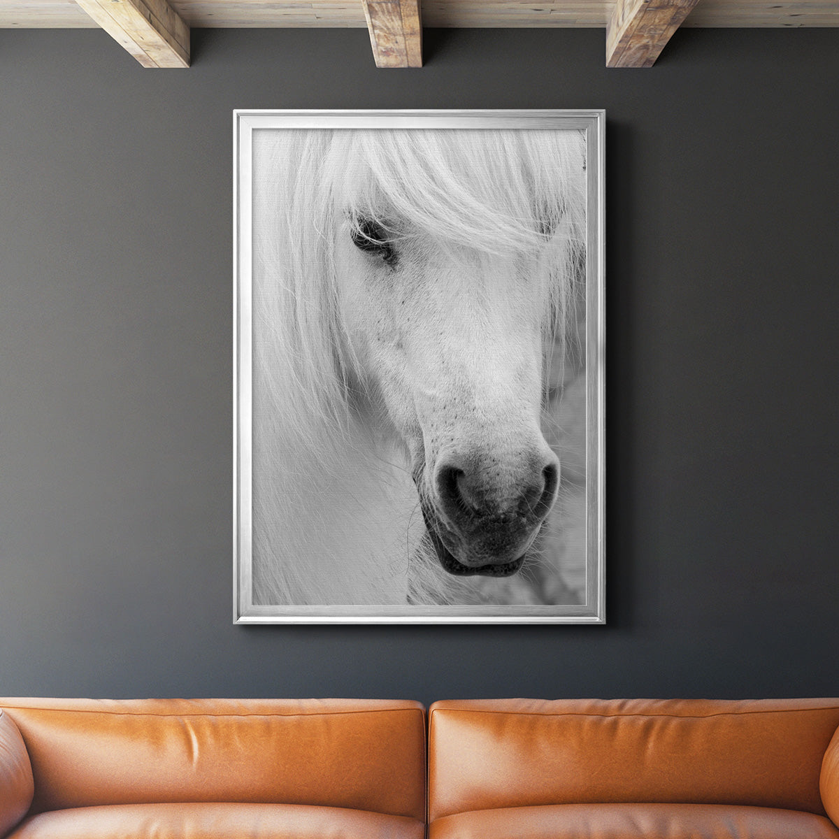 Island Pony I Premium Framed Print - Ready to Hang