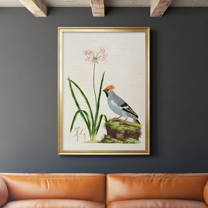 Bird in Habitat II Premium Framed Print - Ready to Hang