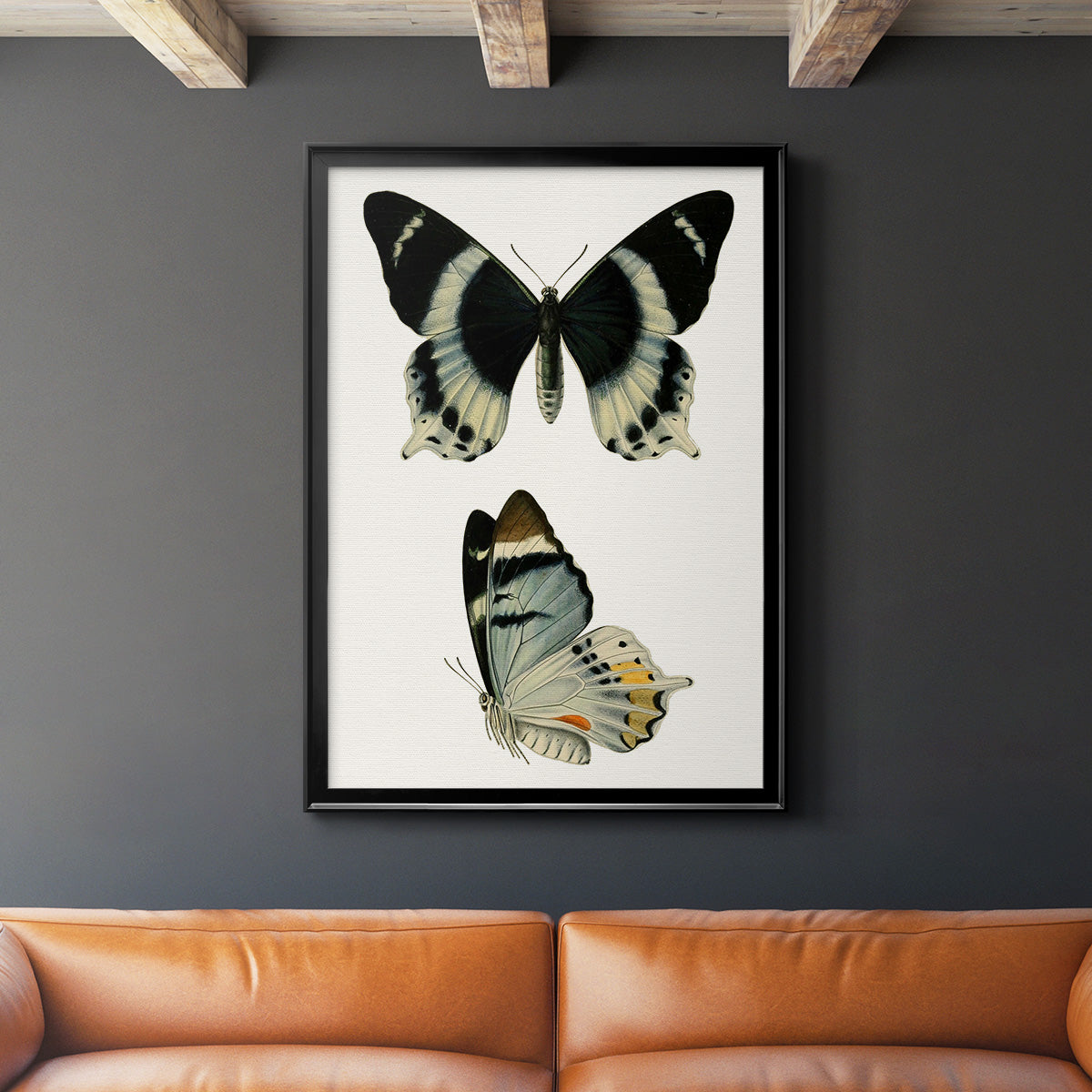 Antique Blue Butterflies I Premium Framed Print - Ready to Hang