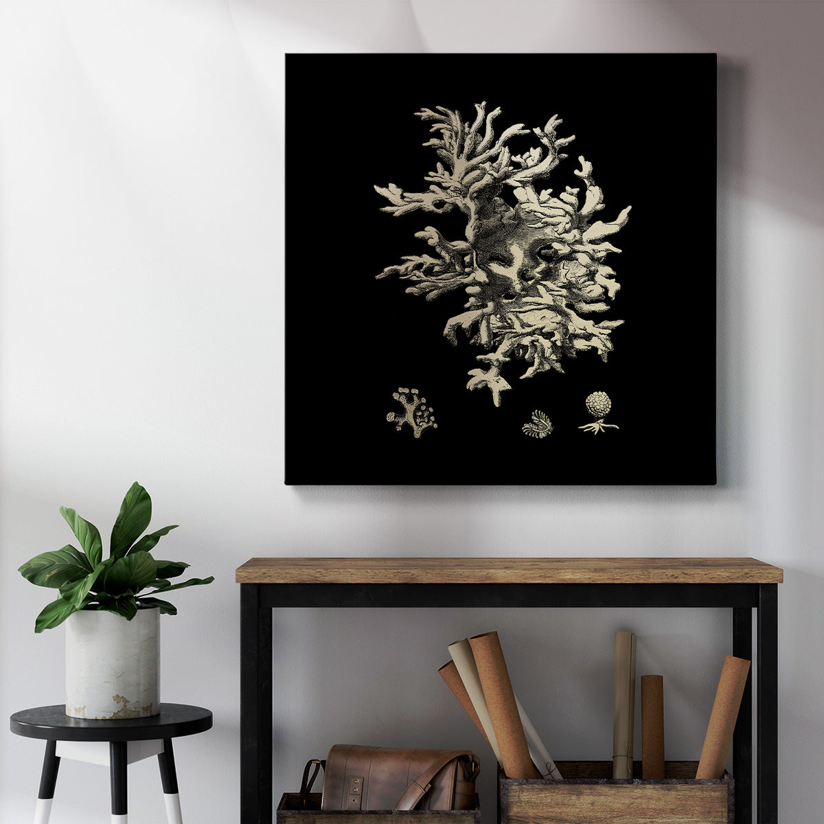 Black and Tan Coral III-Premium Gallery Wrapped Canvas - Ready to Hang