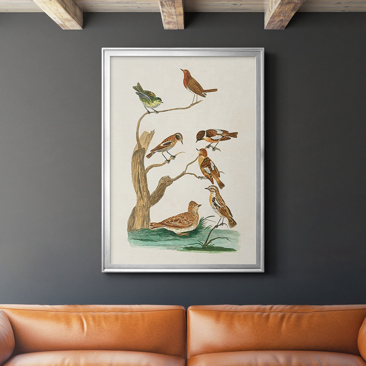 Antique Birds in Nature III Premium Framed Print - Ready to Hang