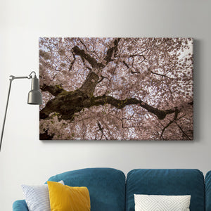 Spring's Arrival Premium Gallery Wrapped Canvas - Ready to Hang