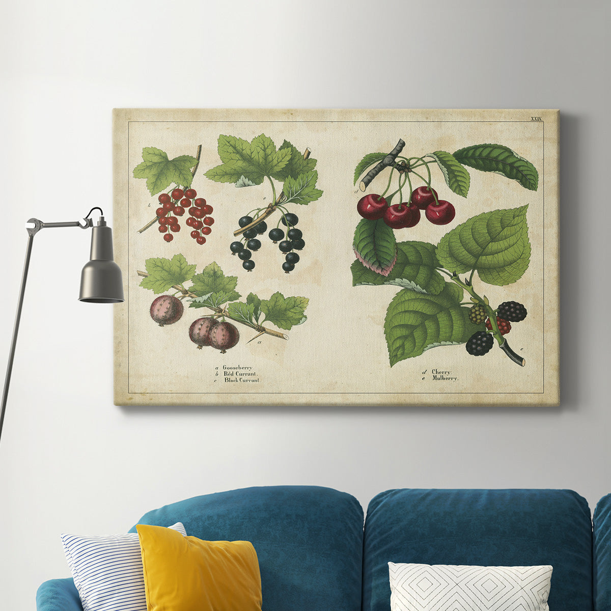 Kitchen Fruits III Premium Gallery Wrapped Canvas - Ready to Hang