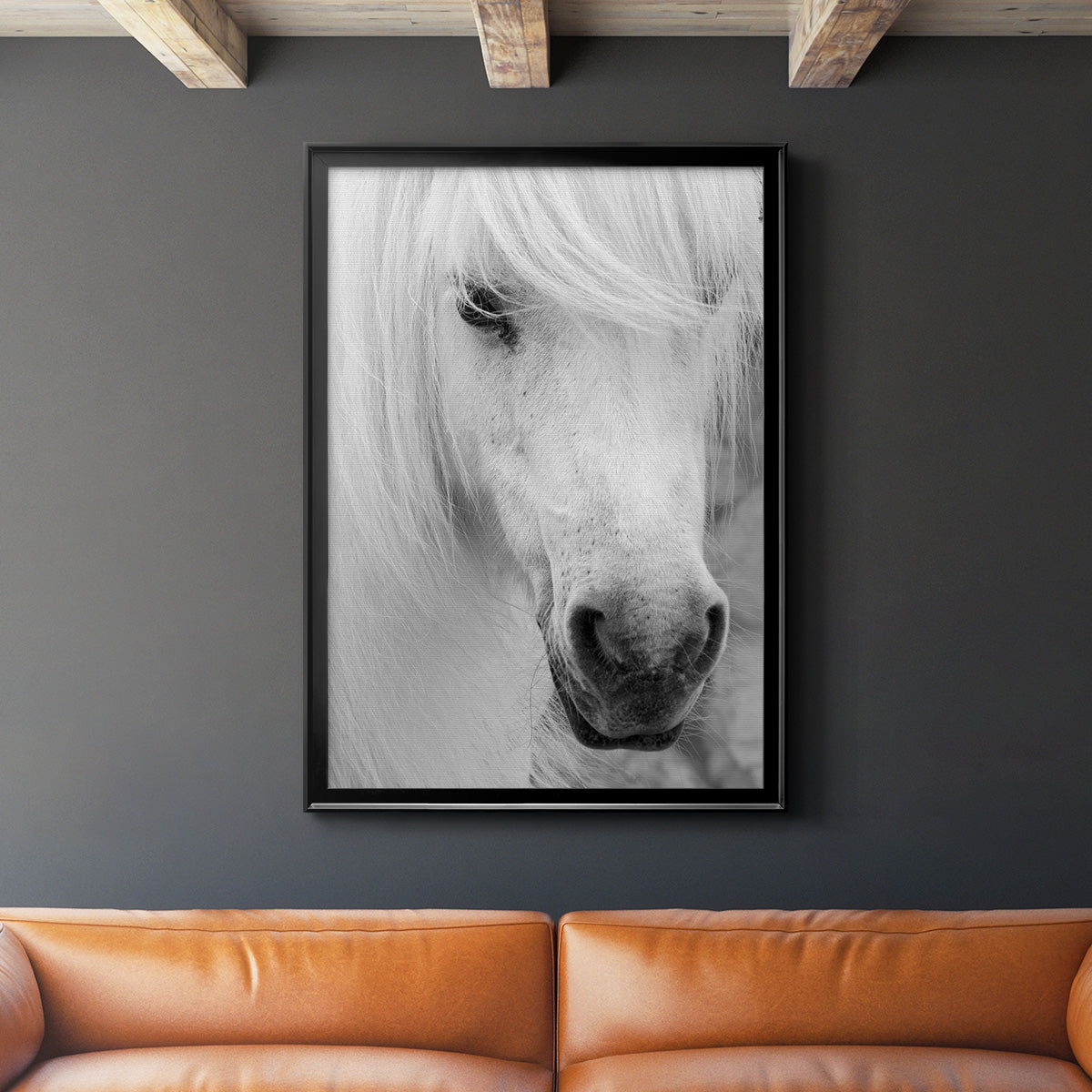 Island Pony I Premium Framed Print - Ready to Hang