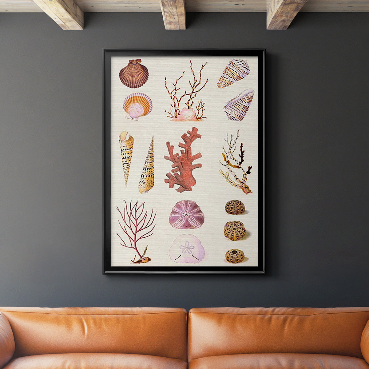 Coral & Shell Collage II Premium Framed Print - Ready to Hang
