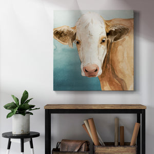 Hereford Stare II-Premium Gallery Wrapped Canvas - Ready to Hang