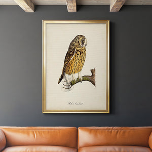 French Owls II Premium Framed Print - Ready to Hang