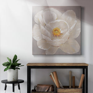 White Peony II-Premium Gallery Wrapped Canvas - Ready to Hang