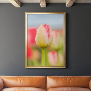 Twotone Tulip Premium Framed Print - Ready to Hang