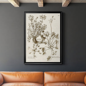 Sepia Botanical Journal IX Premium Framed Print - Ready to Hang